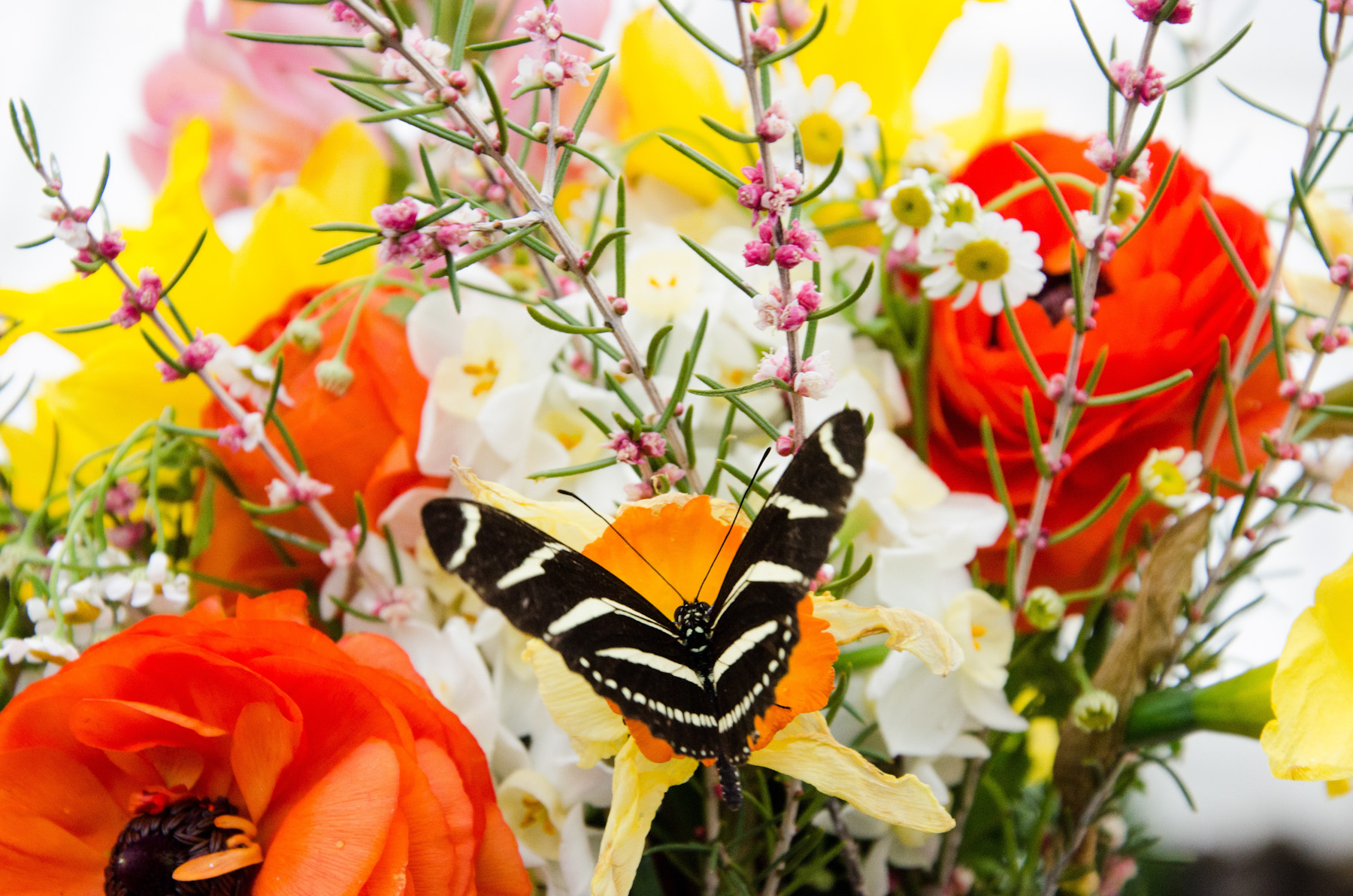 O'Connell_Wedding_2_28_14-138.jpg