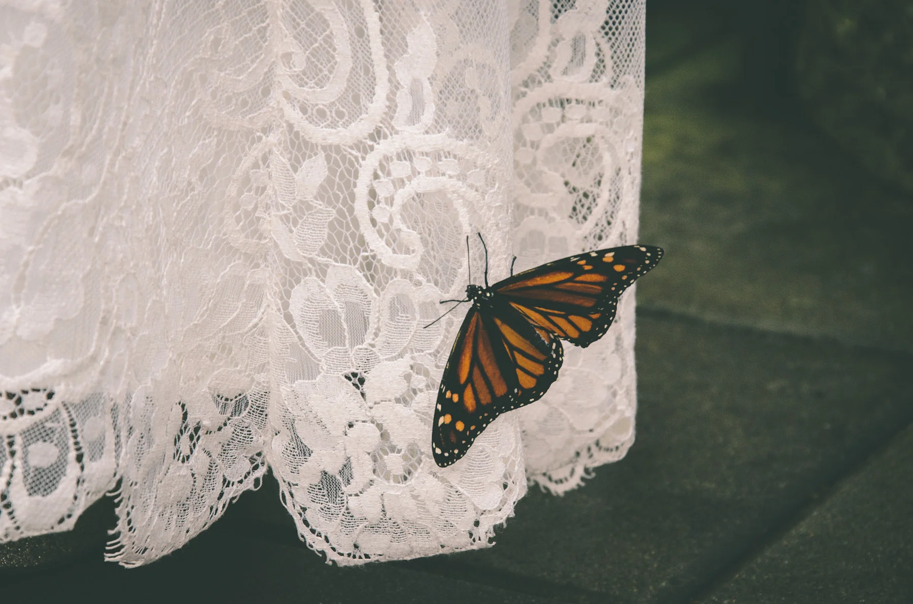 O'Connell_Wedding_2_28_14-137.jpg