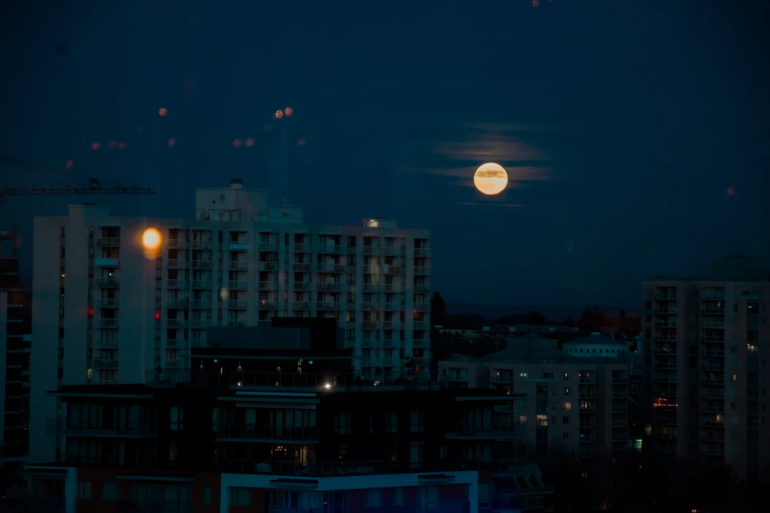 DSC_7313-2.jpg