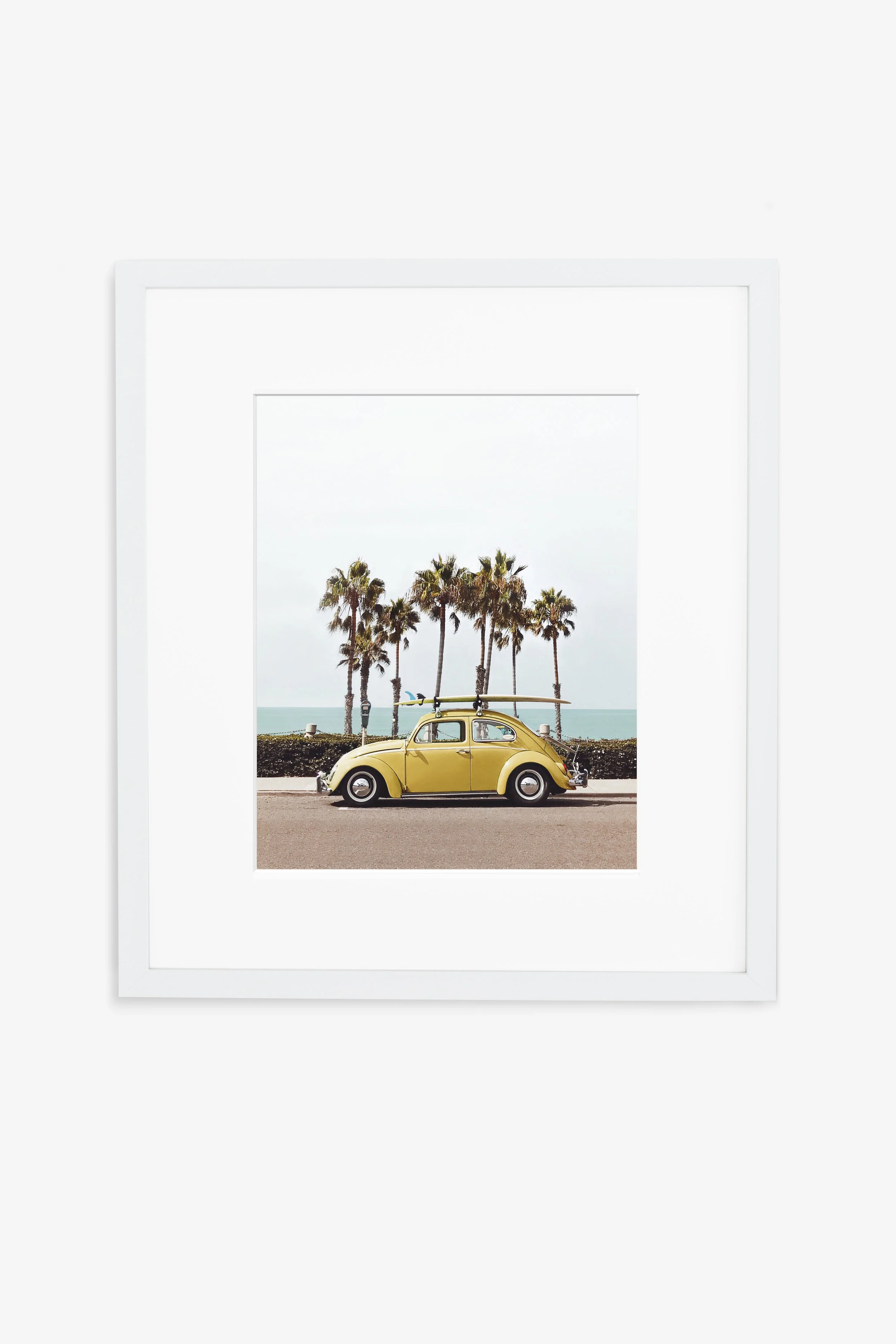 adler-8x10matted.jpg
