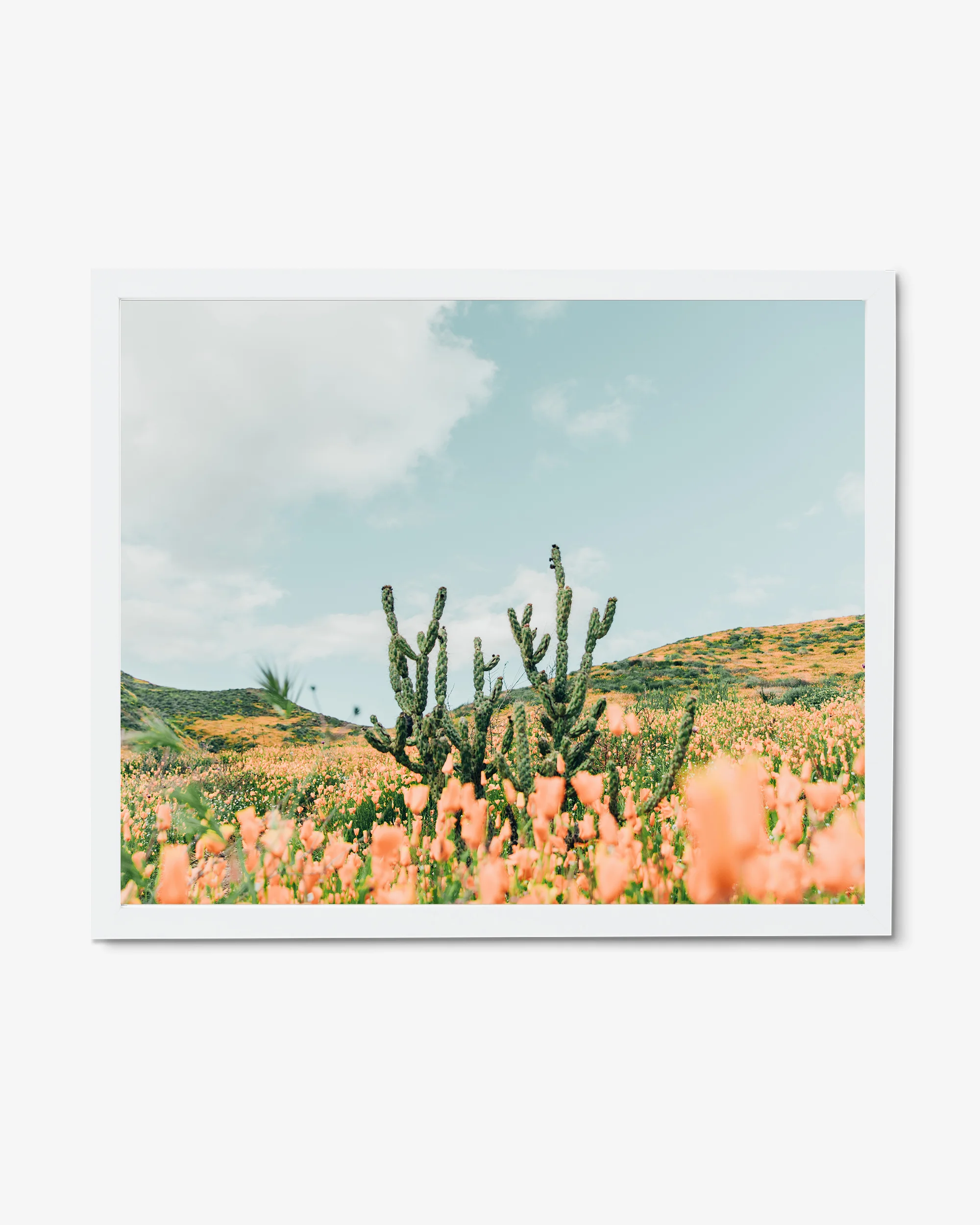 Jolene in a frame.jpg
