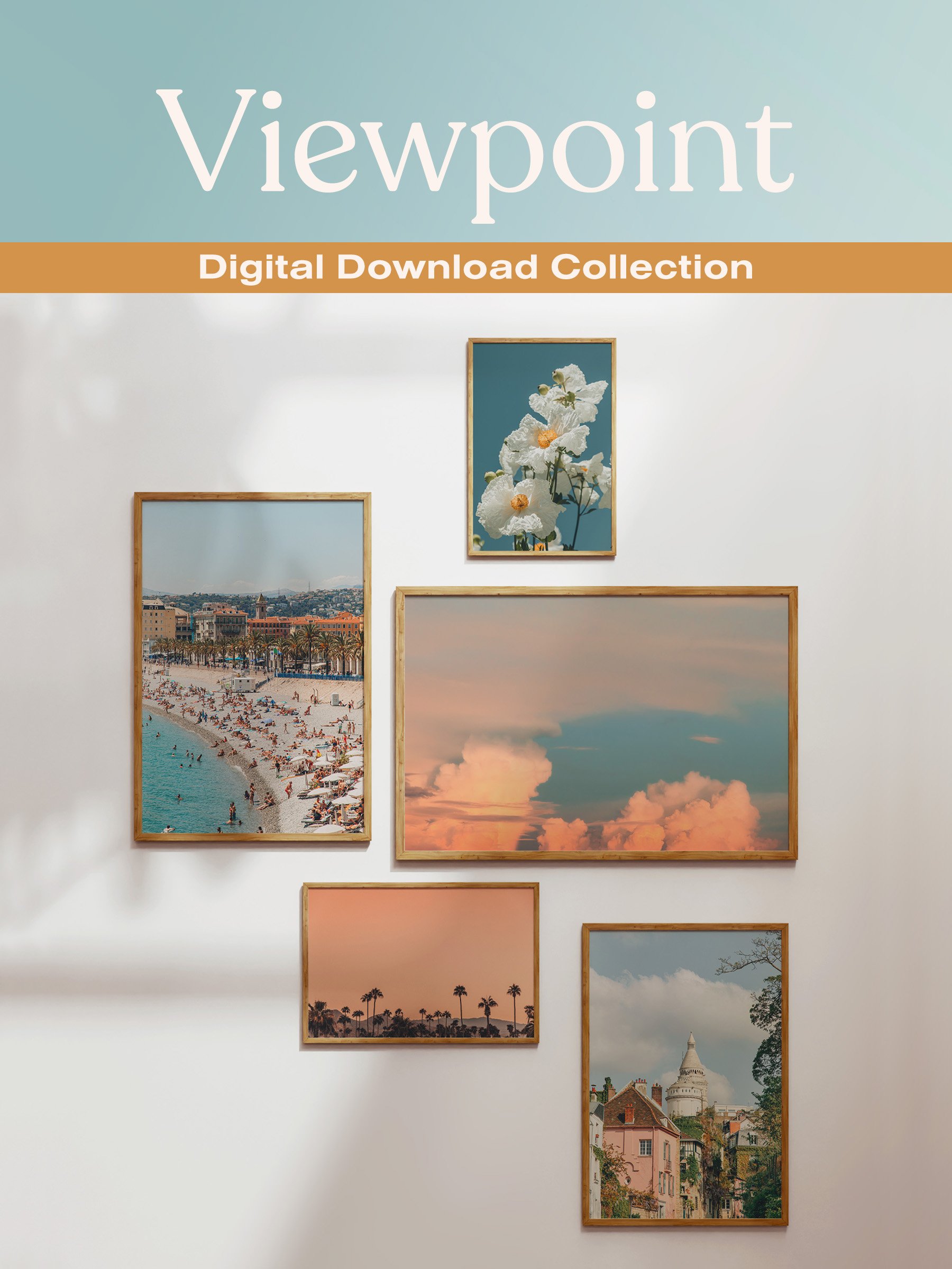 Viewpoint Digital Download Collection Cover.jpg
