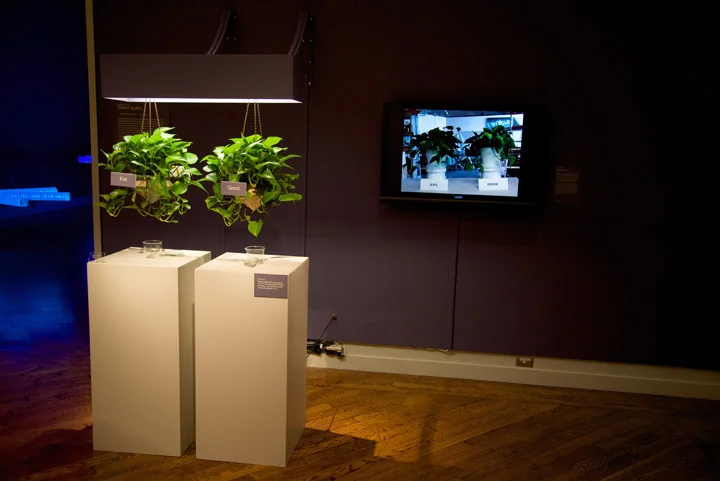 PATHOS: The emotion of Plants, August 6