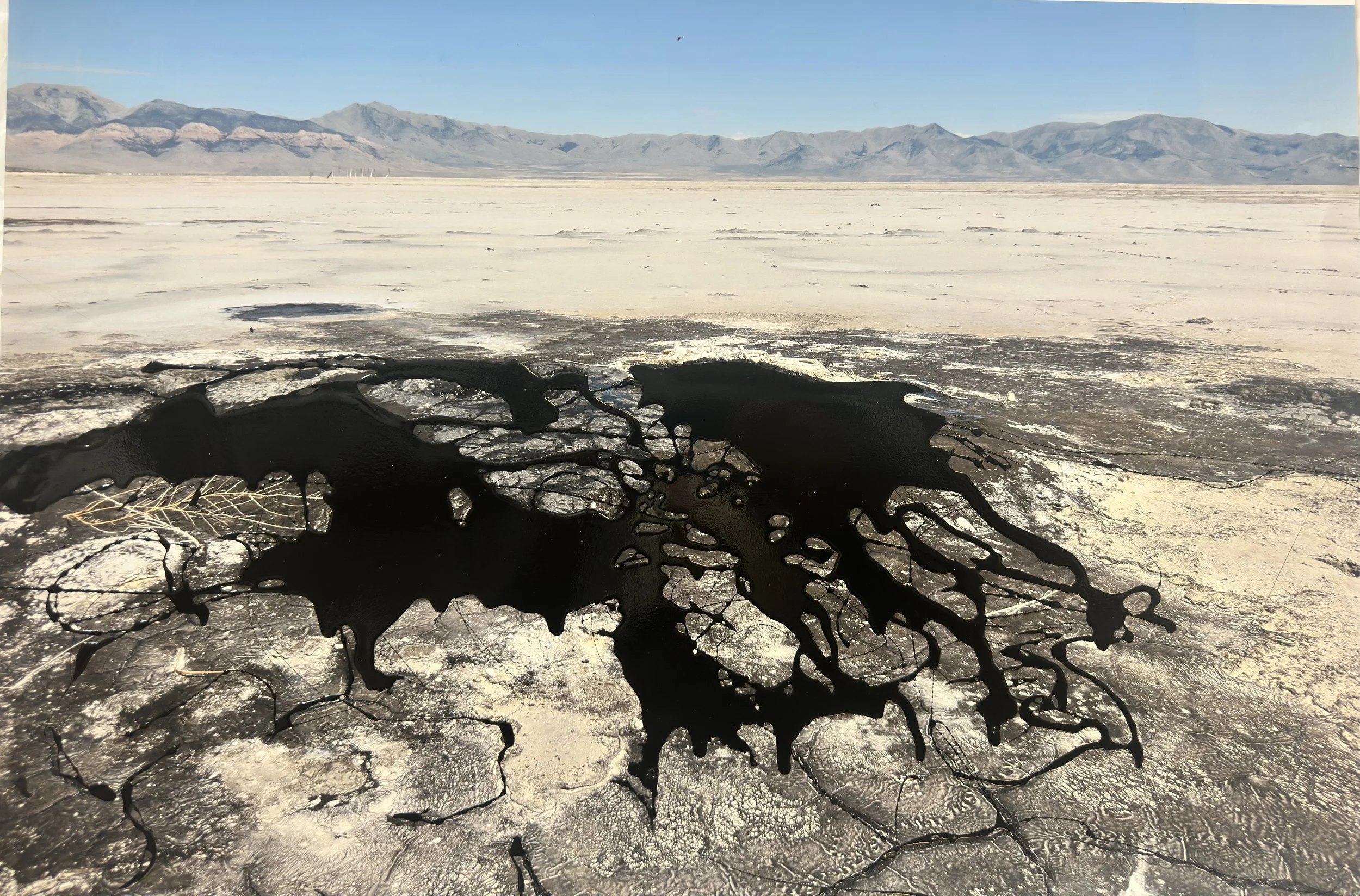 An Ecological Reckoning: Tar Seep of the Great Salt Lake