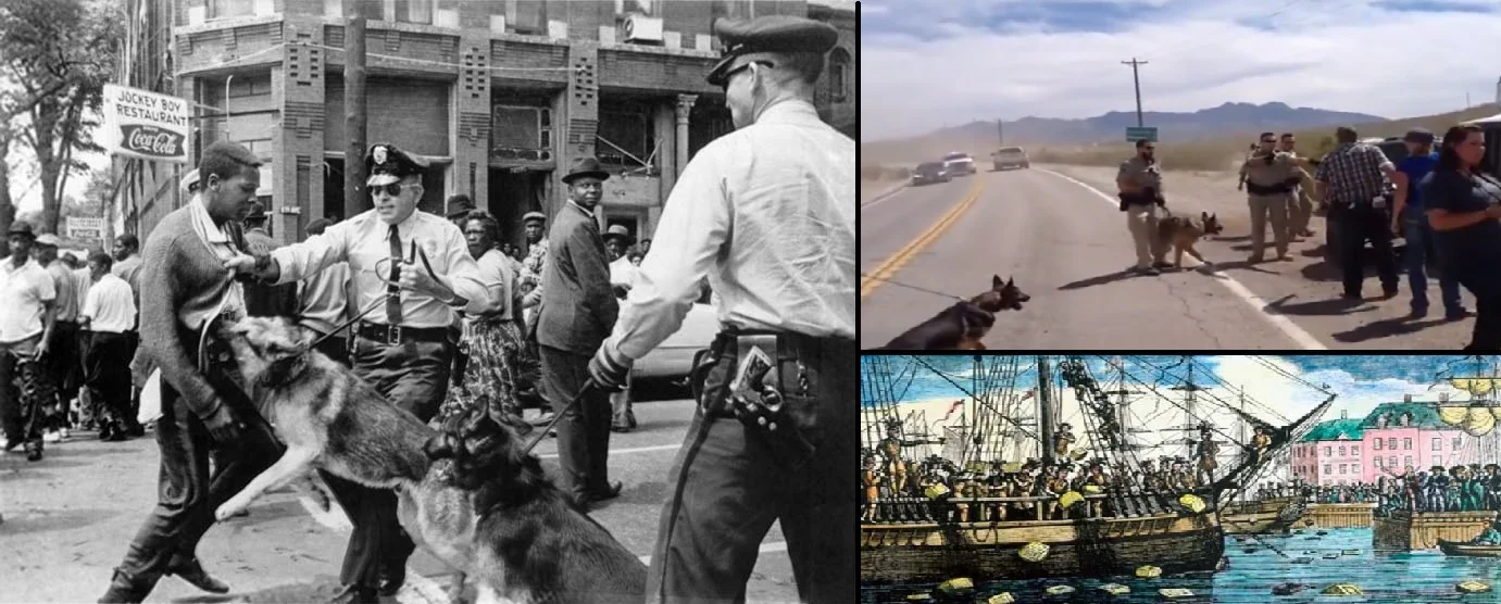 America has a long history of individuals who broke the law to stand up to injustice. Civil disobedience unfortunately is called terrorism by those who disagree with the protester's message. 