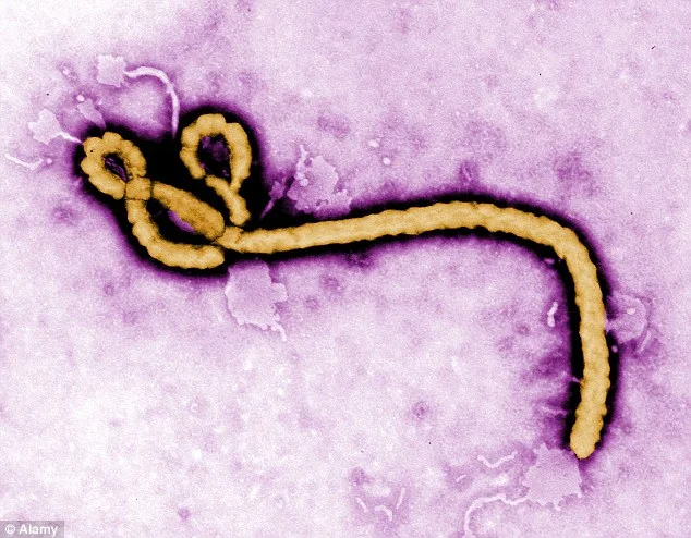 THE TINY VIRUS AT THE HEART OF AFRICA'S EPIDEMIC.