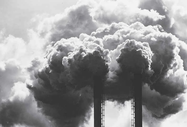 IT MAKES PERFECT SENSE FOR GOVERNMENT TO REGULATE POLLUTION WHEN COLLECTIVE ACTION PROBLEMS MAKE PRIVATE DEALS UNWIELDY. 