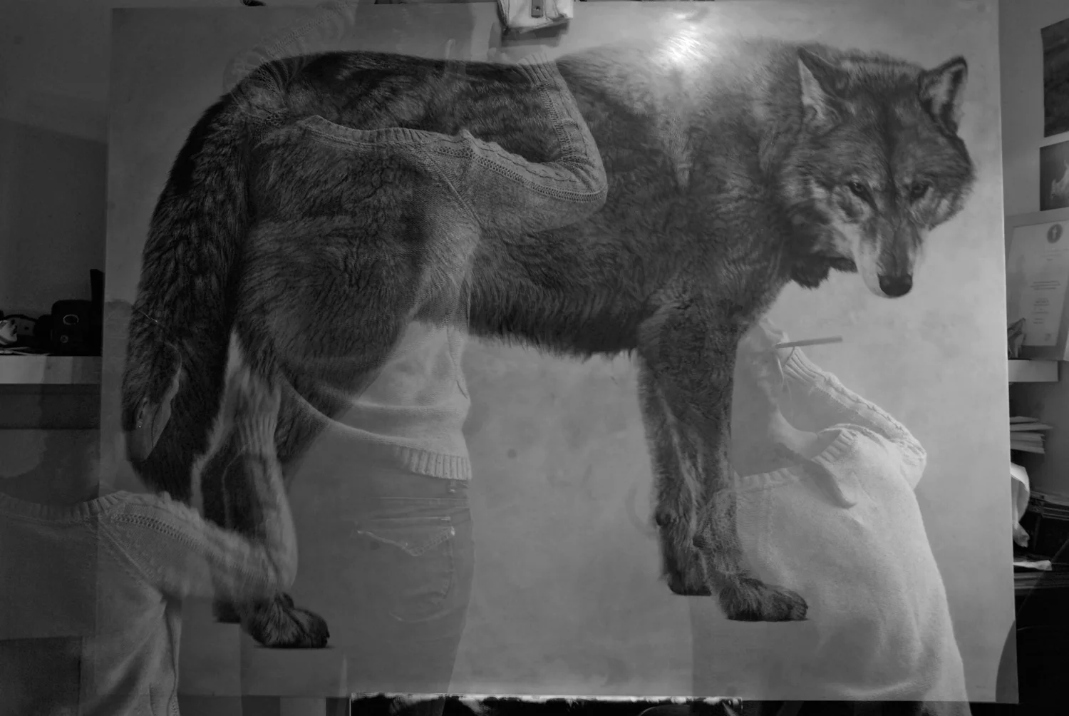 Vicky White | Grey Wolf II | Pencil on panel
