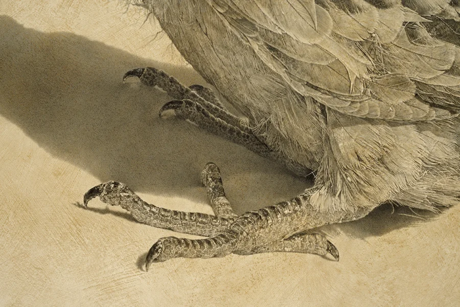Squeaker ( Detail )