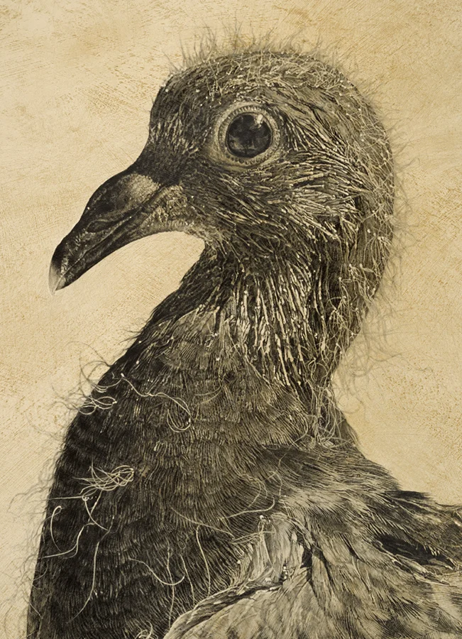 Squeaker (Detail)