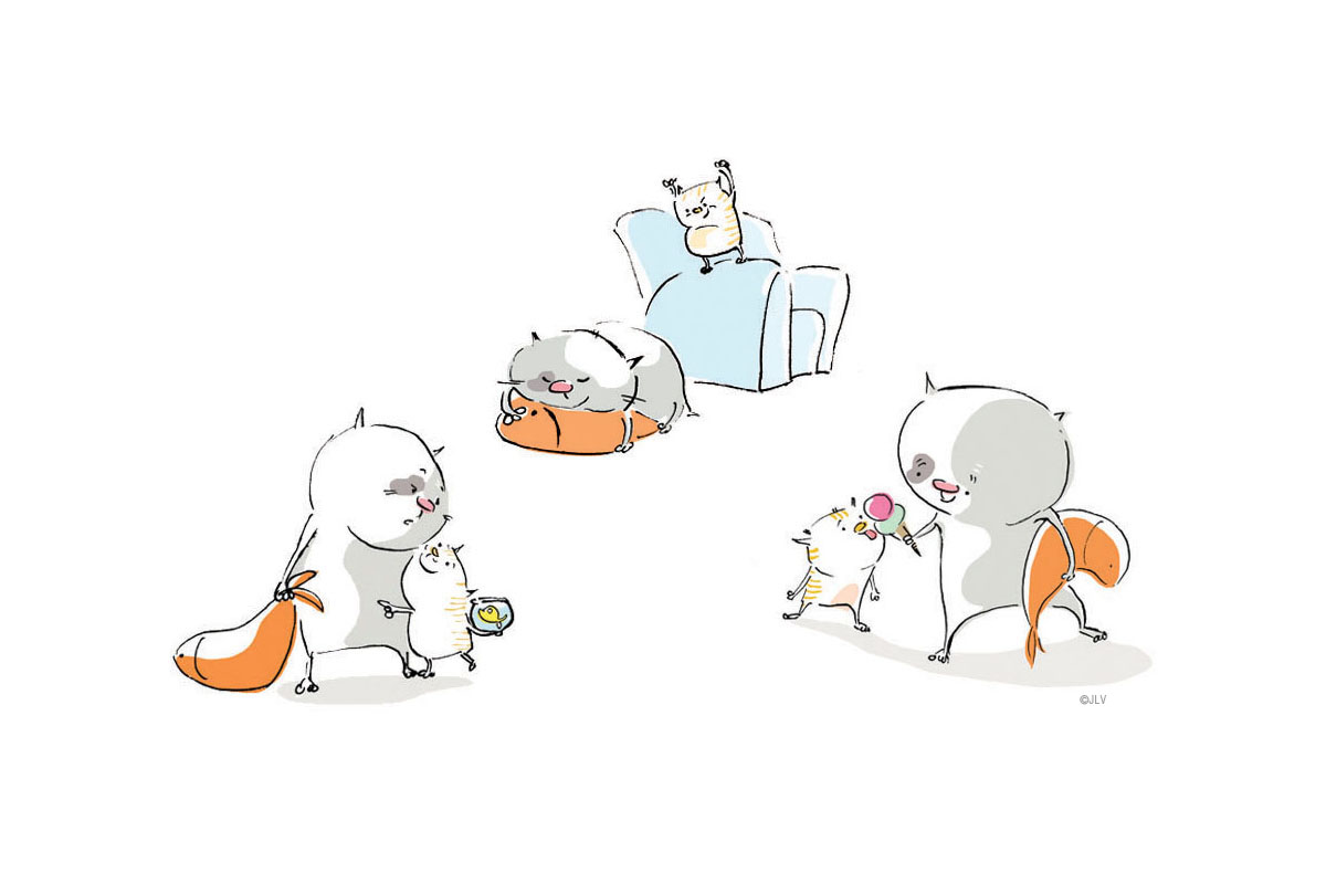 cat sequence.jpg