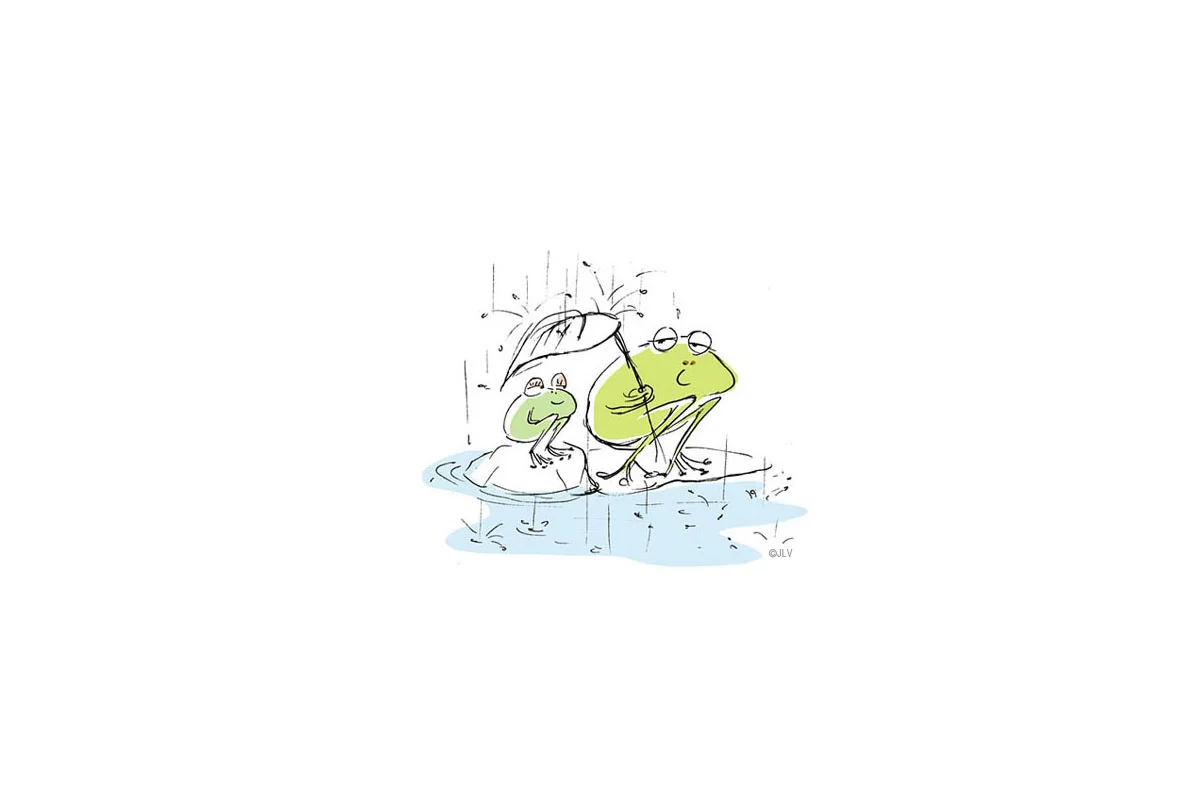 frog.jpg
