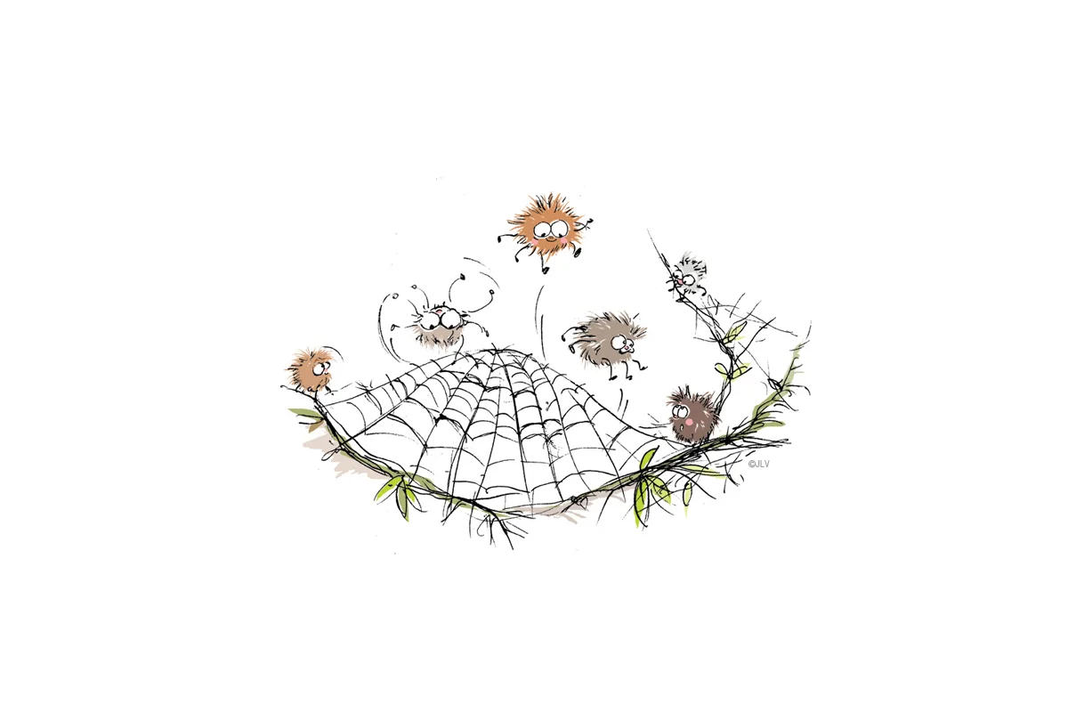 spiders.jpg