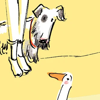 save the ducks button.jpg