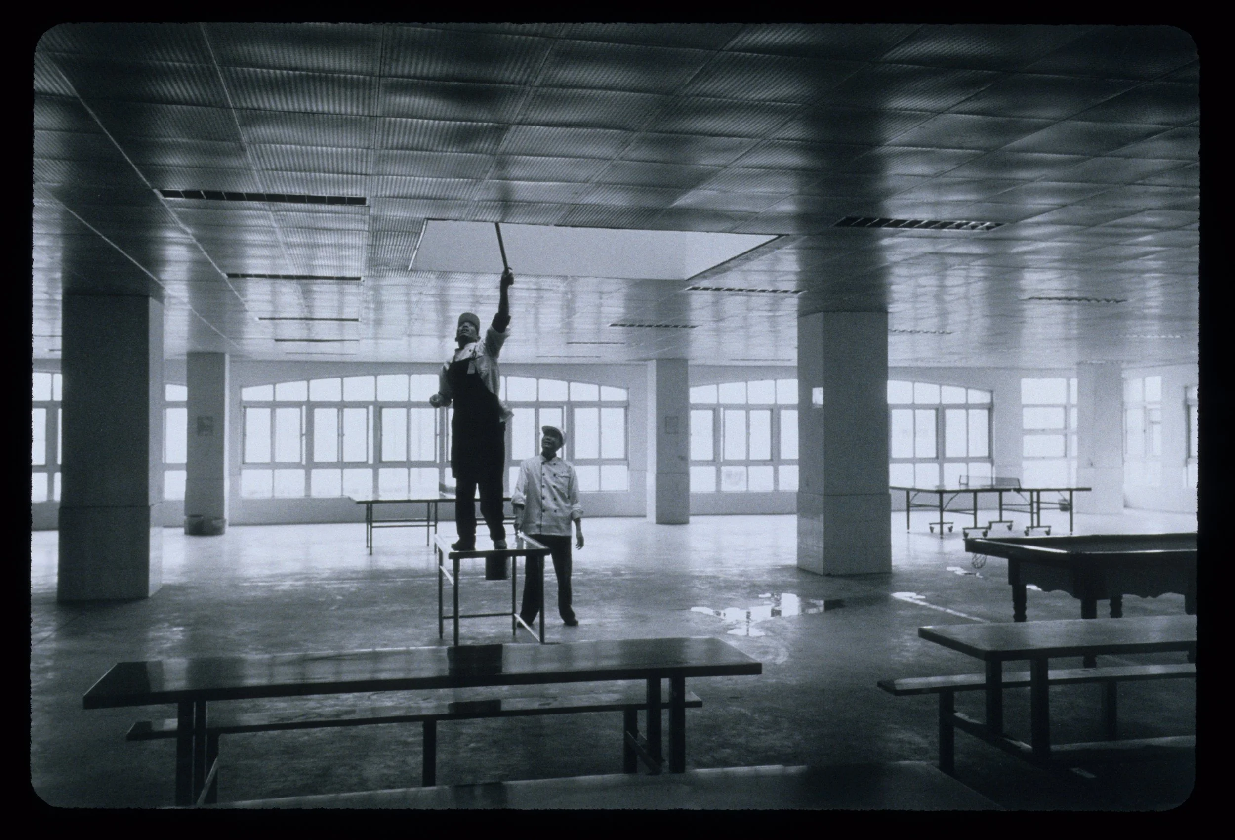 Puma Cafeteria Worker.jpg