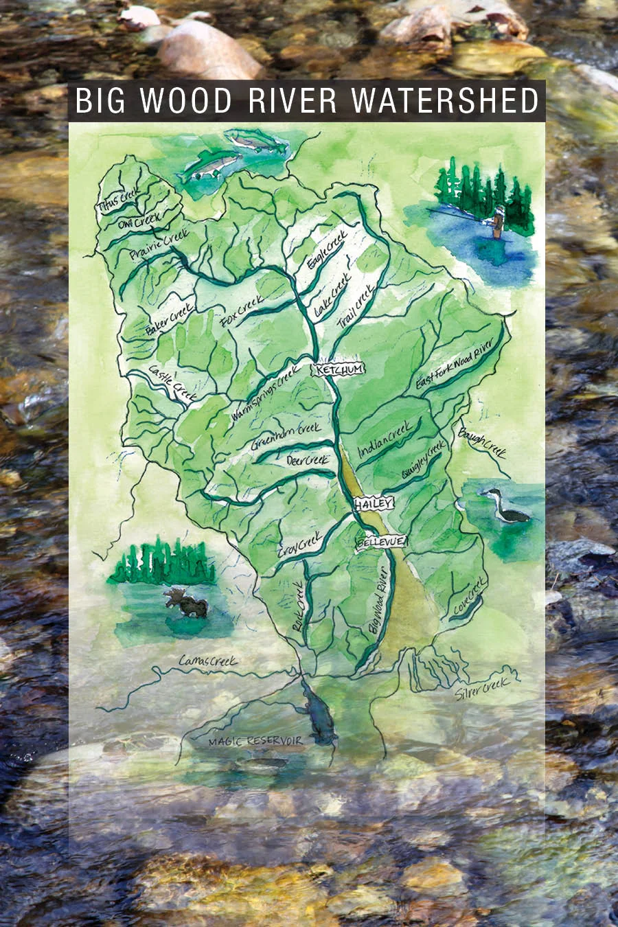 BWHR page3.jpg