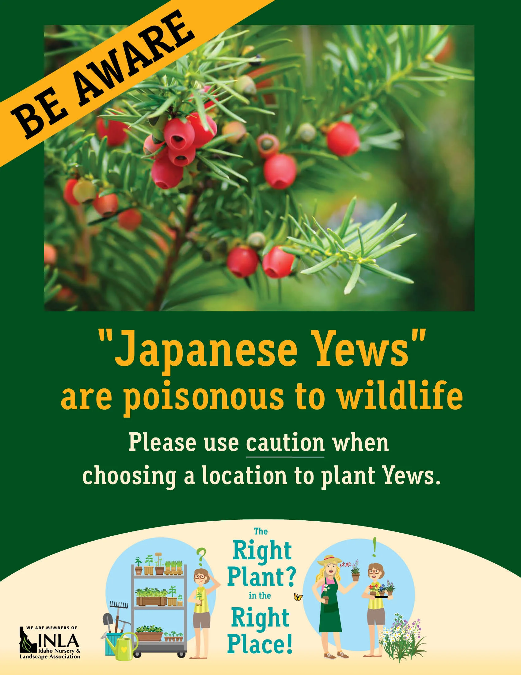 Yew flyer.jpg