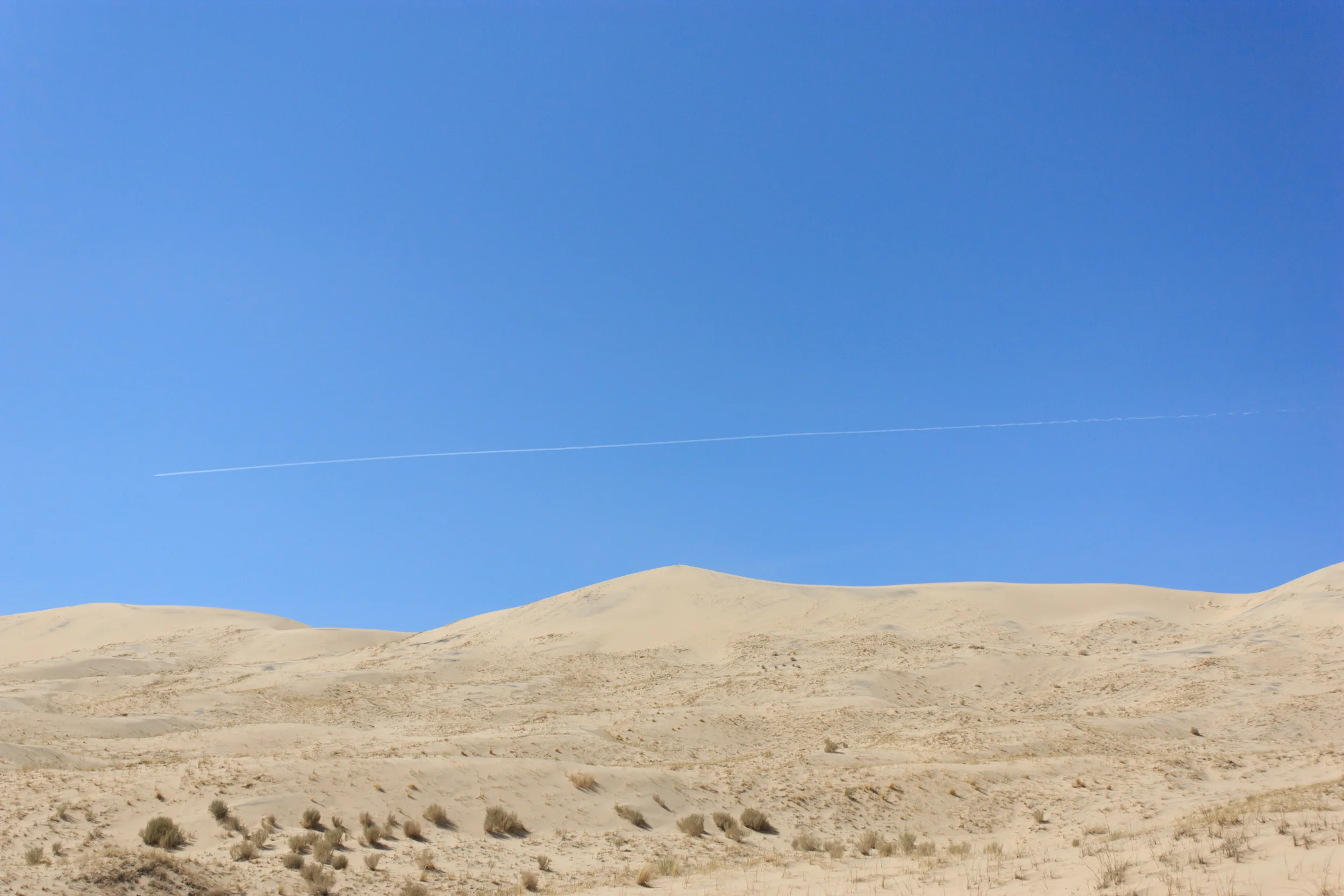 mojave (4).jpg