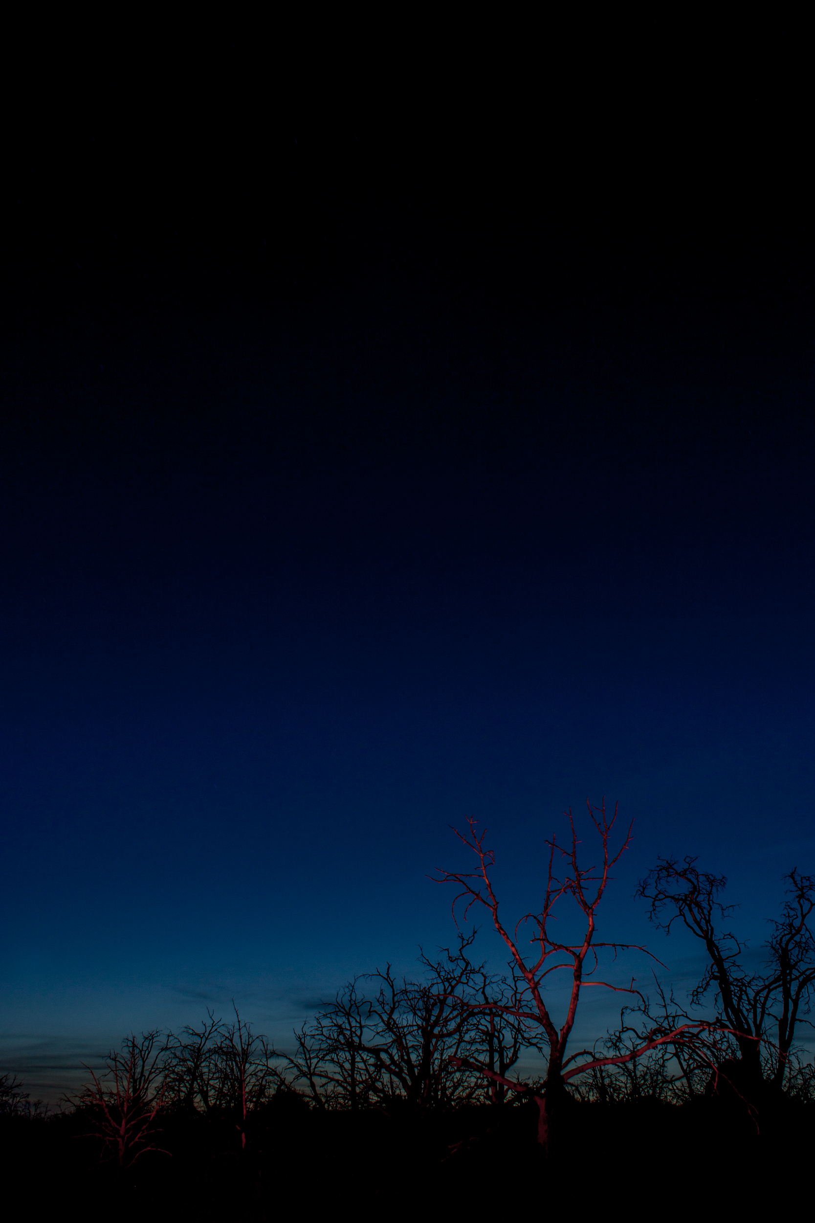 mojave (8).jpg