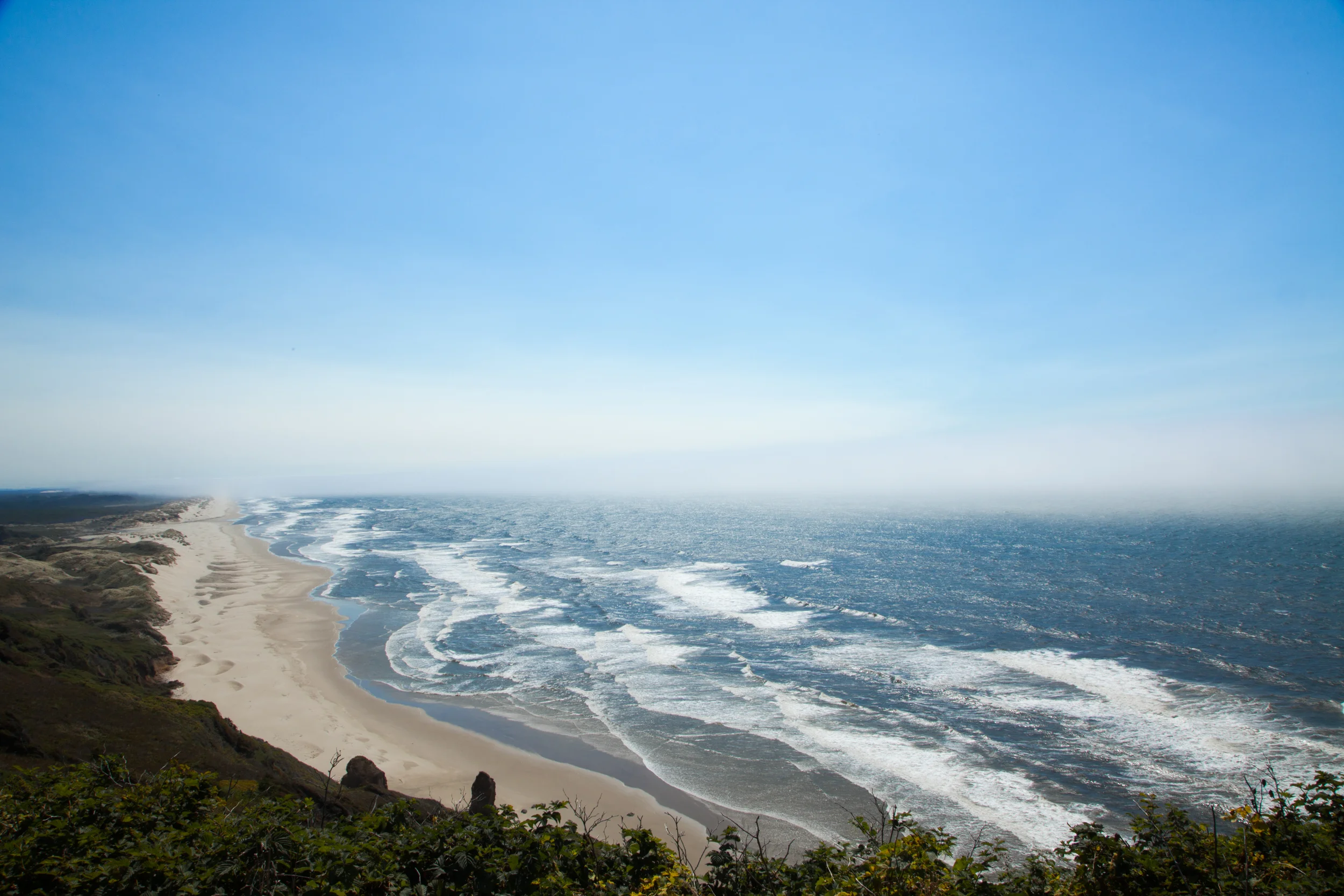 pacific (9).jpg