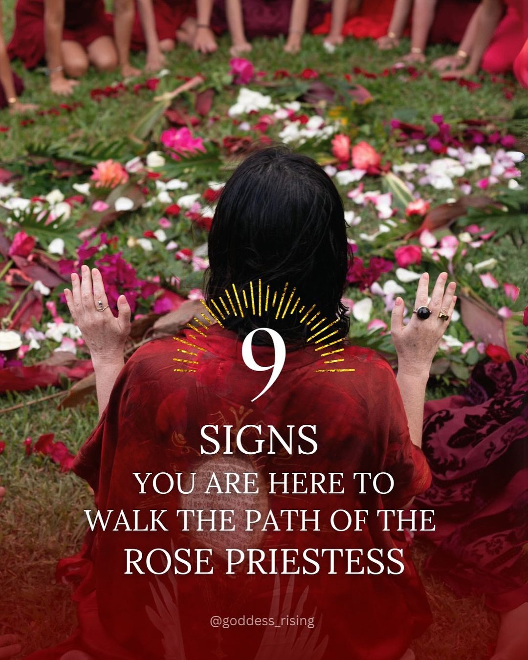 🌹 Beloved, is the Rose Priestess Path calling you? 🌹&lt;&lt; Swipe left &lt;&lt; What signs are most true for you?

Perhaps, deep within, there&rsquo;s a whisper, a pull&hellip;

✨ Venus twinkles in the sky, radiating her Love to you. Can you feel 