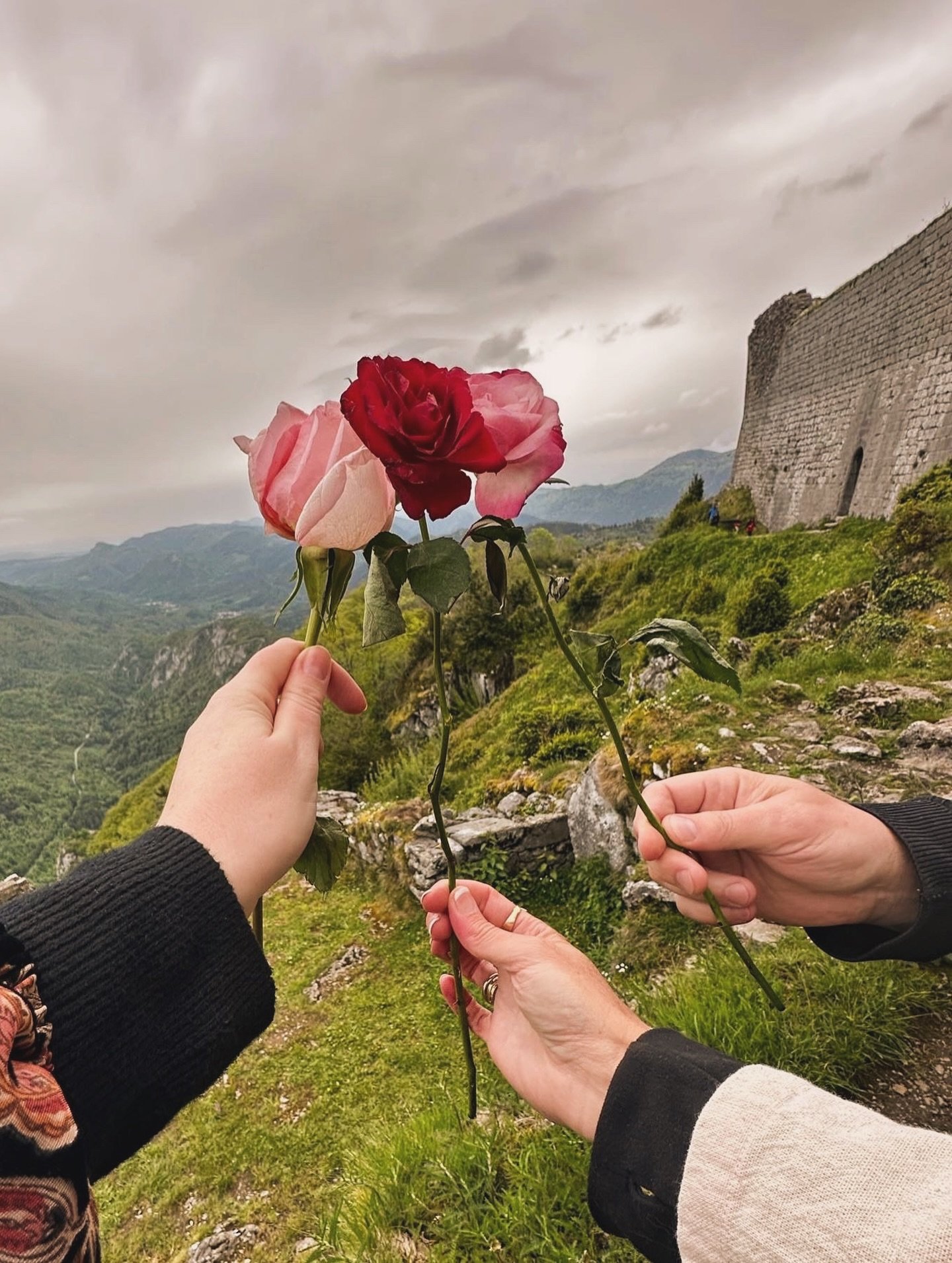 🌹💙🌹Honouring the Cathar Proclamation &amp; Prophecy of 1321 when Guillaume B&eacute;libaste spoke of a time to come&hellip; that &ldquo;in 700 years, the Laurel will turn green again and the good people will return.&rdquo; 🌿

Scroll carousel 👆🏽