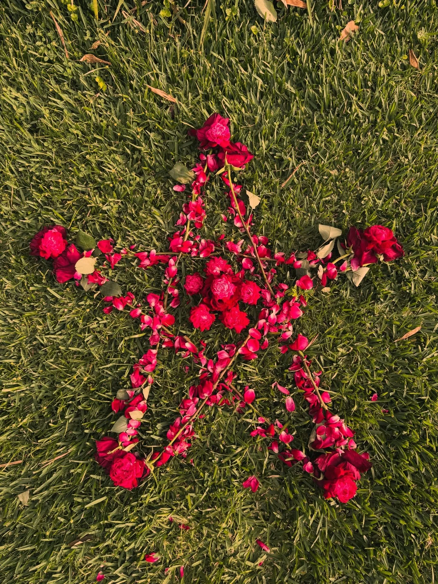 Venusian Rose Ceremony ⭐️🌹This past weekend, as Evening Star Venus met the waxing Moon and moved through the Rose Gate of the solar plexus (see last post), it was also the second Sunday following Pascha, known as the Feast of the Holy Myrrh-Bearing 