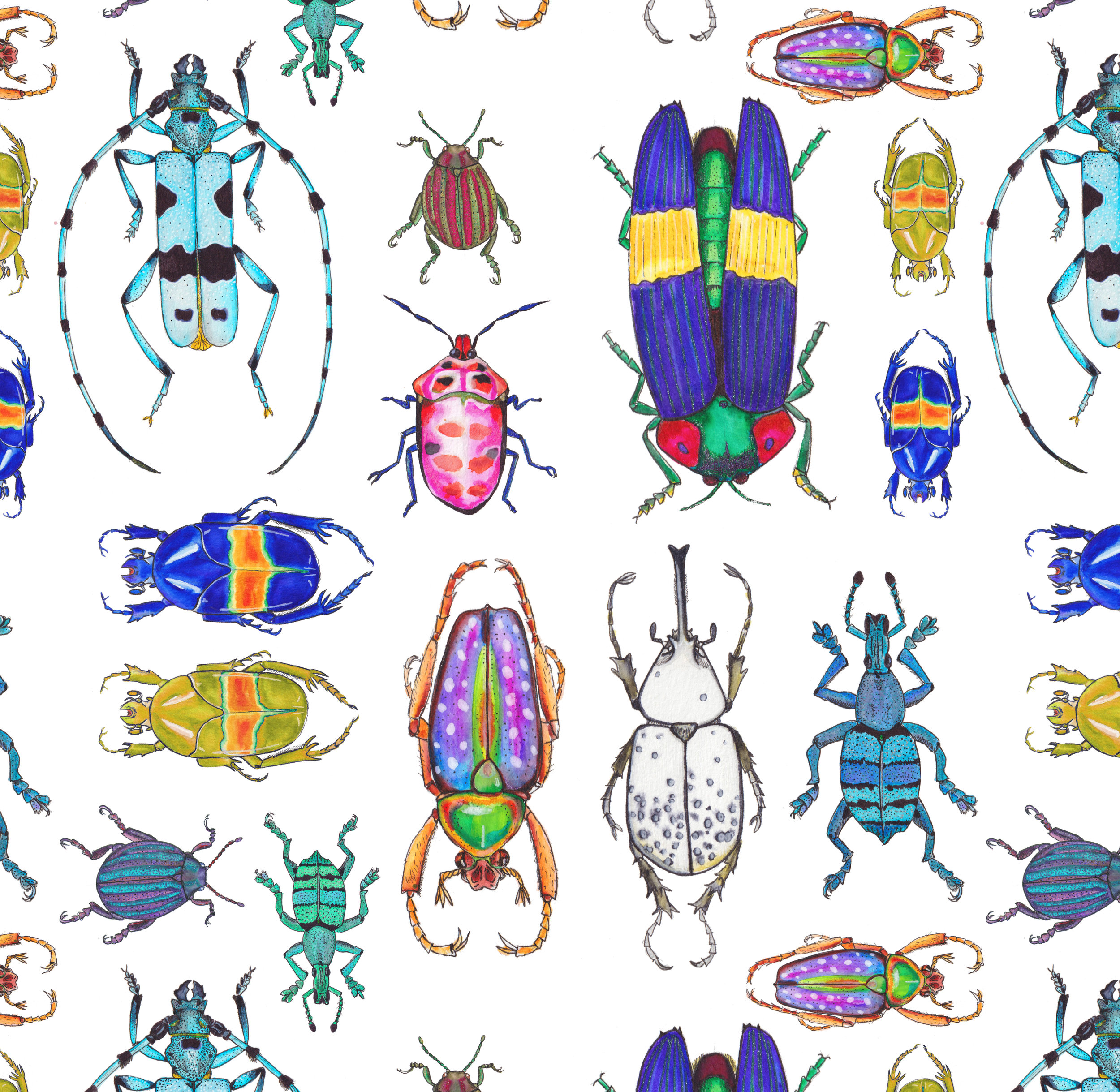 beetles_tile.jpg