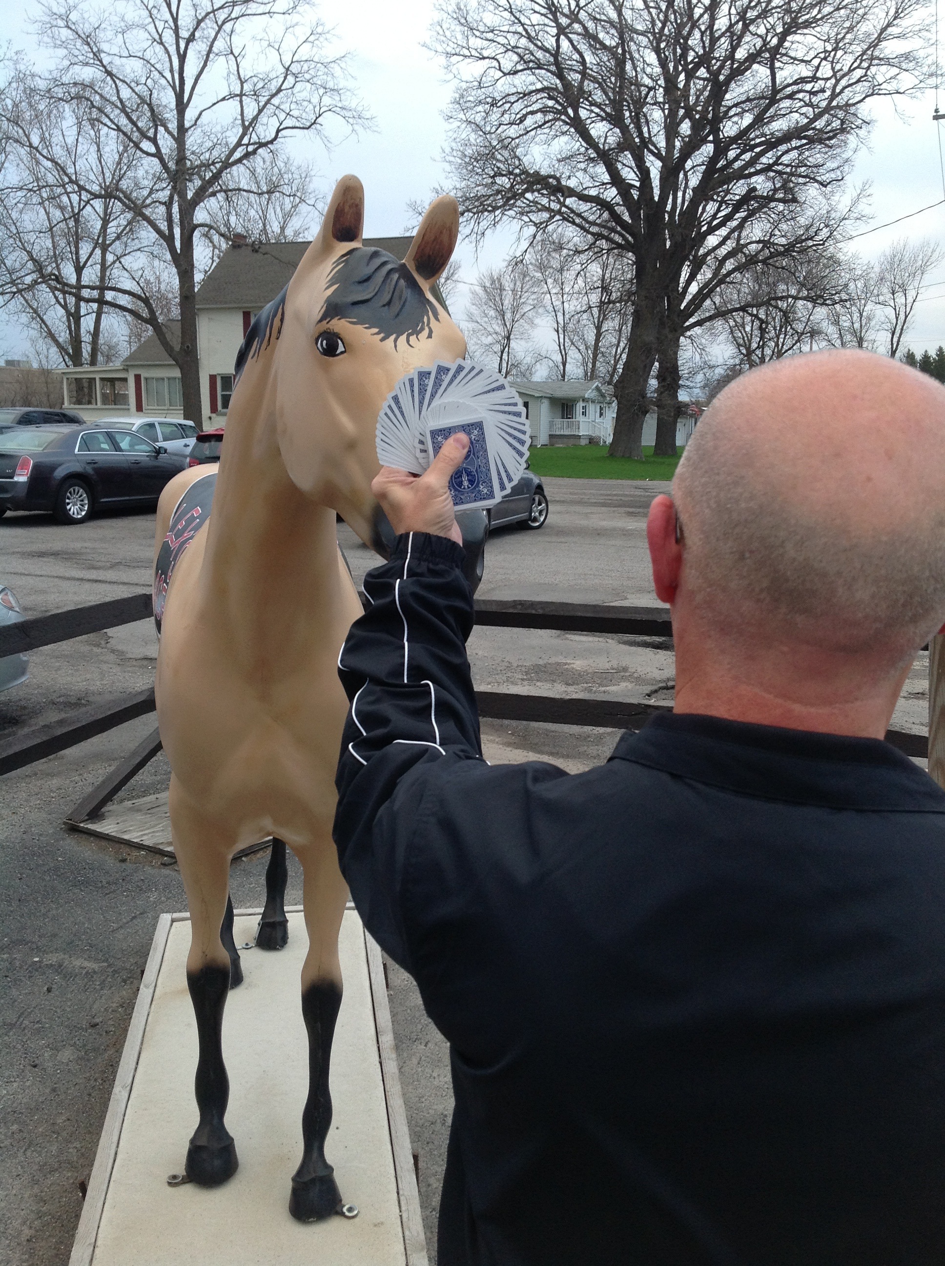 A wink is as good as a force to a horse, of course, of course. Geoff Williams finds a willing (?) volunteer who would stand still long enough to pick a card.