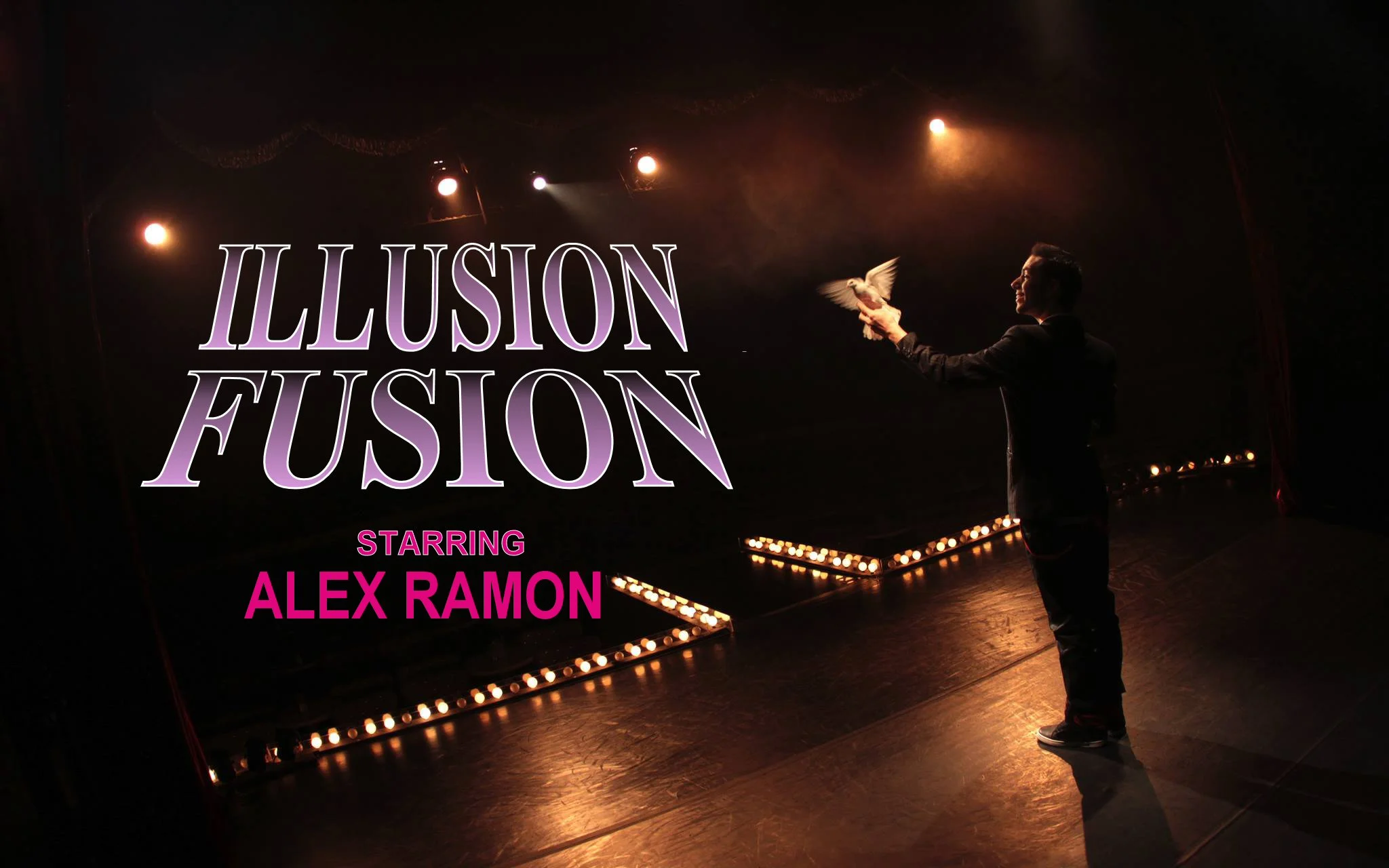 Illusion Fusion banner.jpg