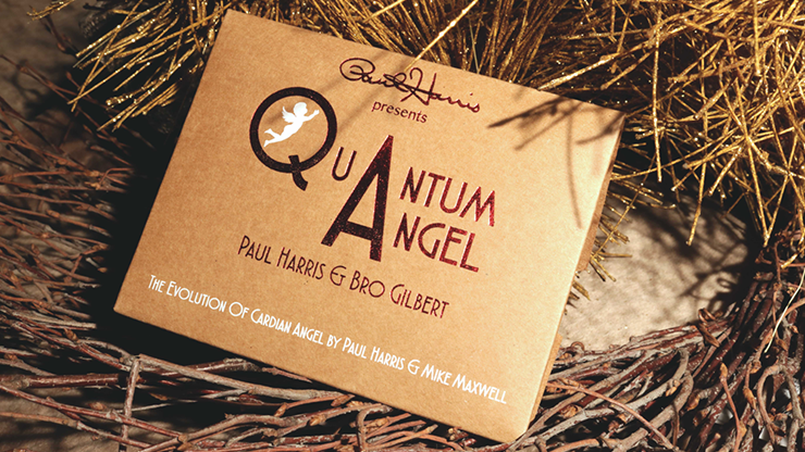 Quantum Angel.png