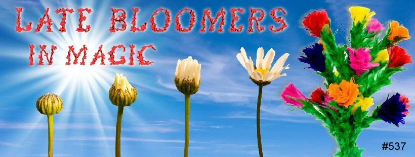 537 banner.jpg