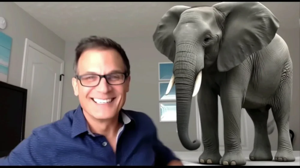 elephant in the room 2.jpg