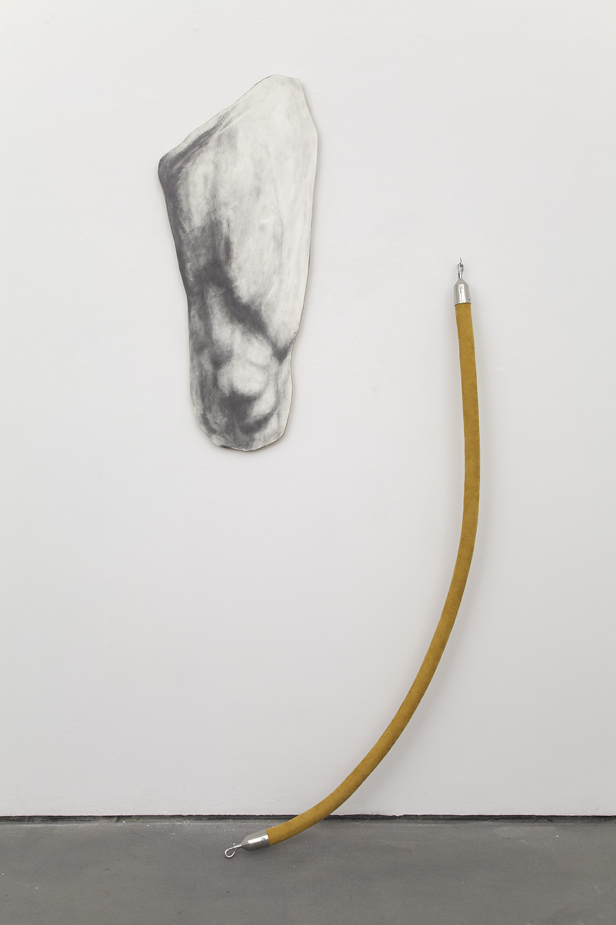 Untitled , 2013. Graphite on paper mounted on plywood, velvet rope. Dimensions variable (rope 72 in.).