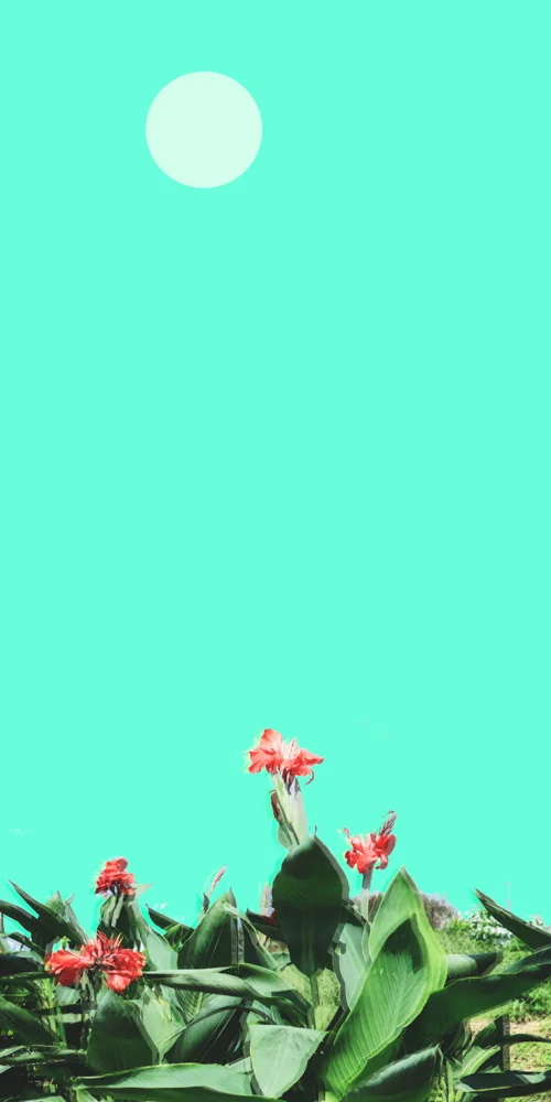 Untitled-5.jpg