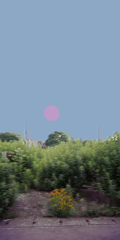 Untitled-17.jpg