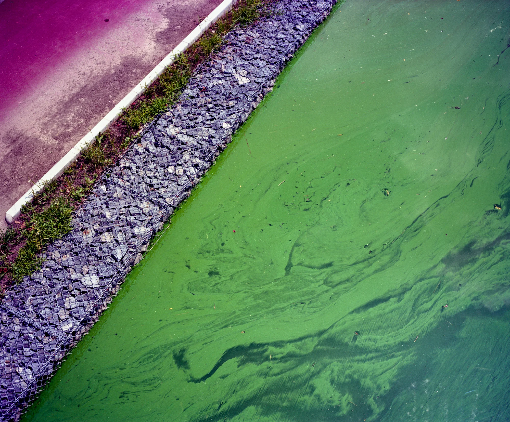 untitled (16 of 51).jpg