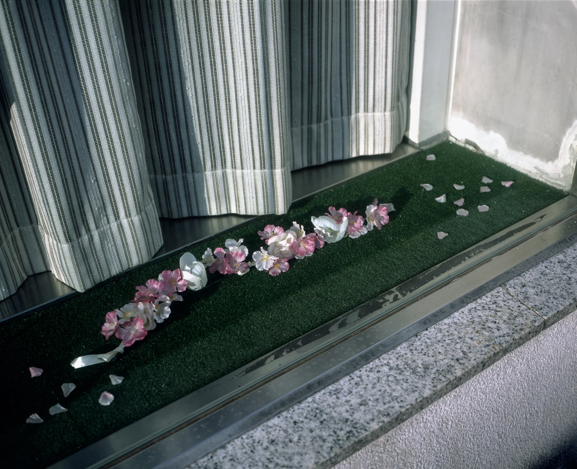 untitled (23 of 51).jpg