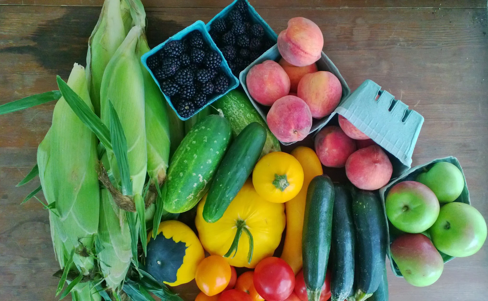 August full fruit and vegetable share. Photo by Tracey Pearson, Paige's CSA Member