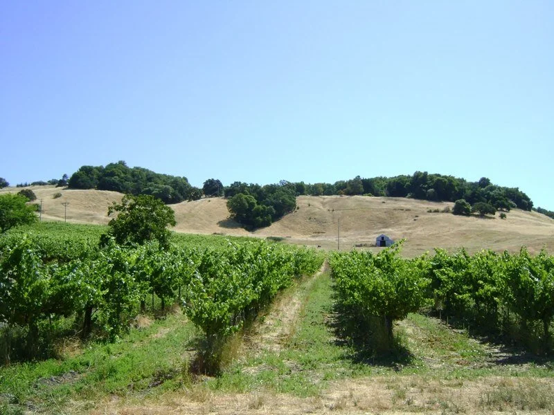 bunker hillside DSC01233.jpg