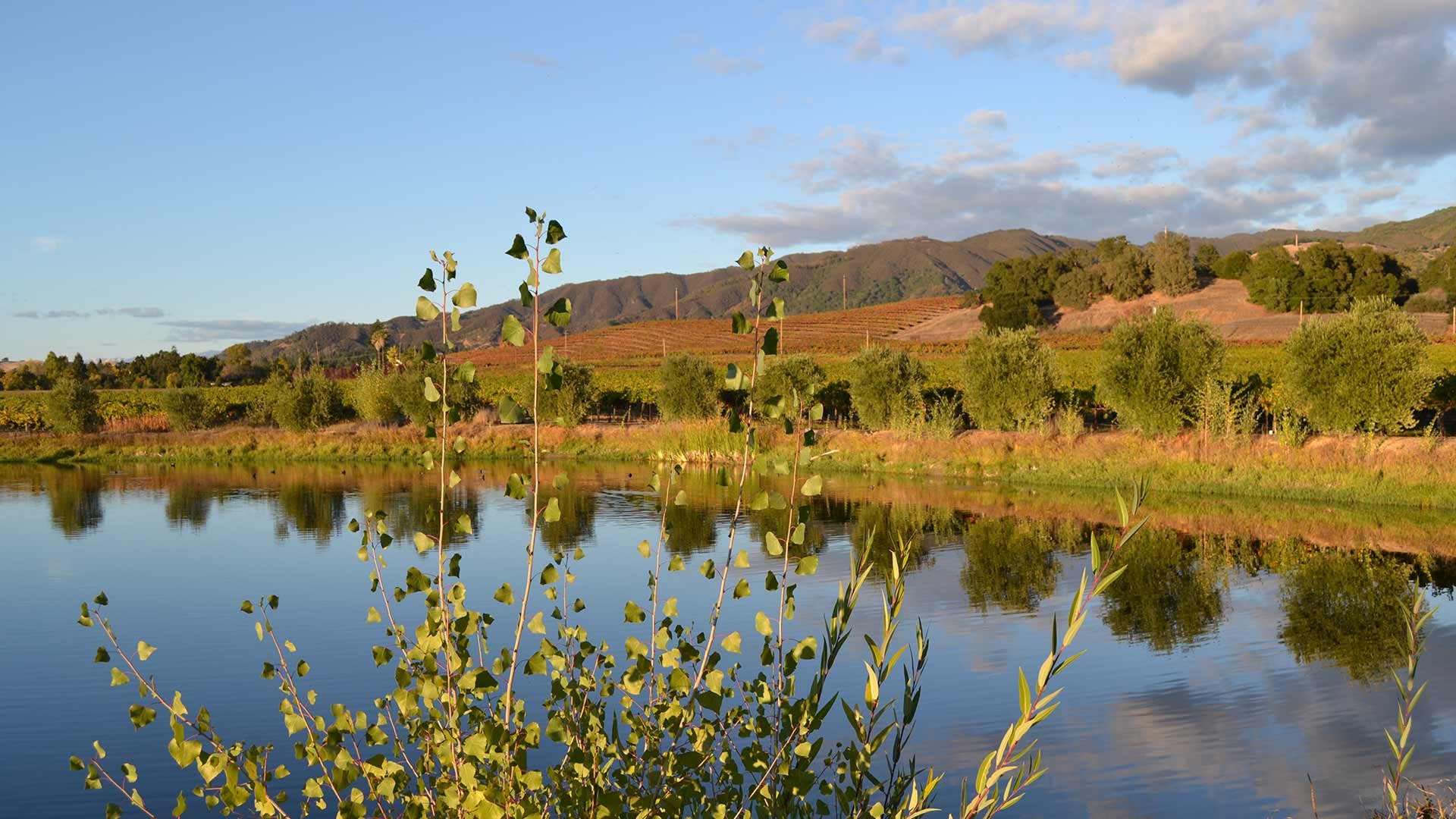 bg_home_lake_22.jpg