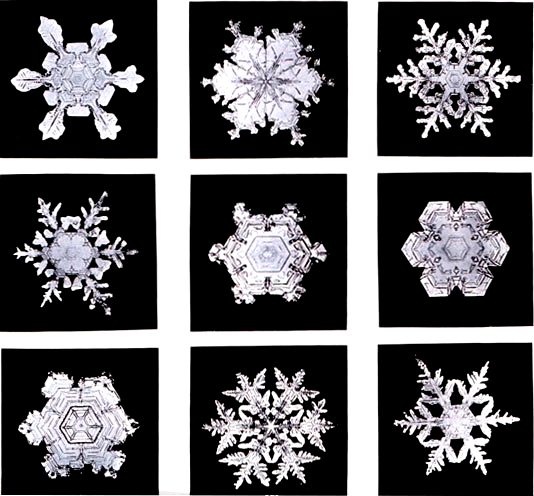 mandala - snowflakes.jpg