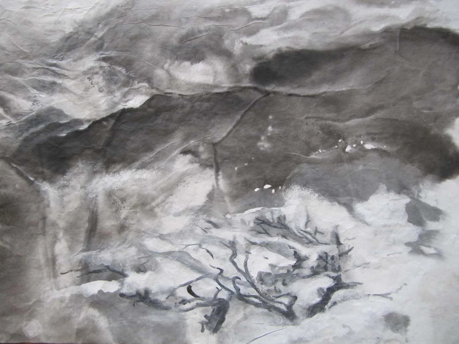 Impression • Monterey 印象 • 蒙特瑞 