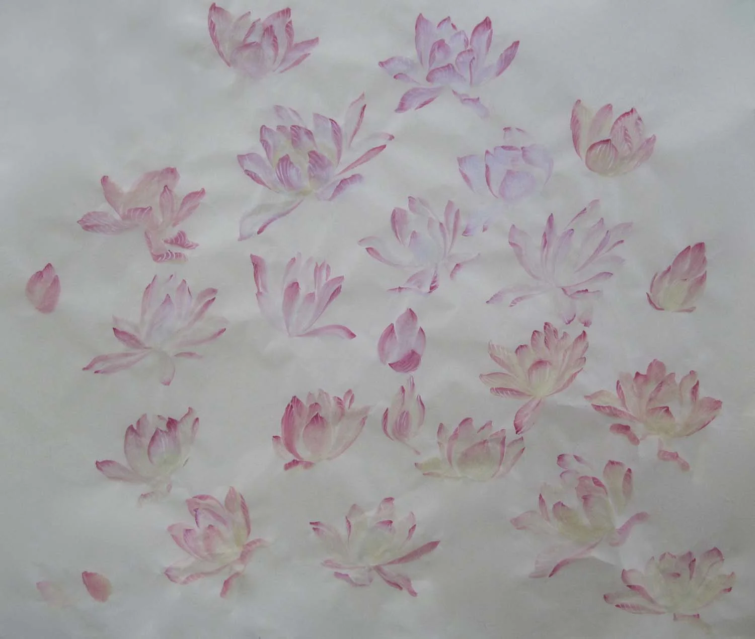 Lotus practice