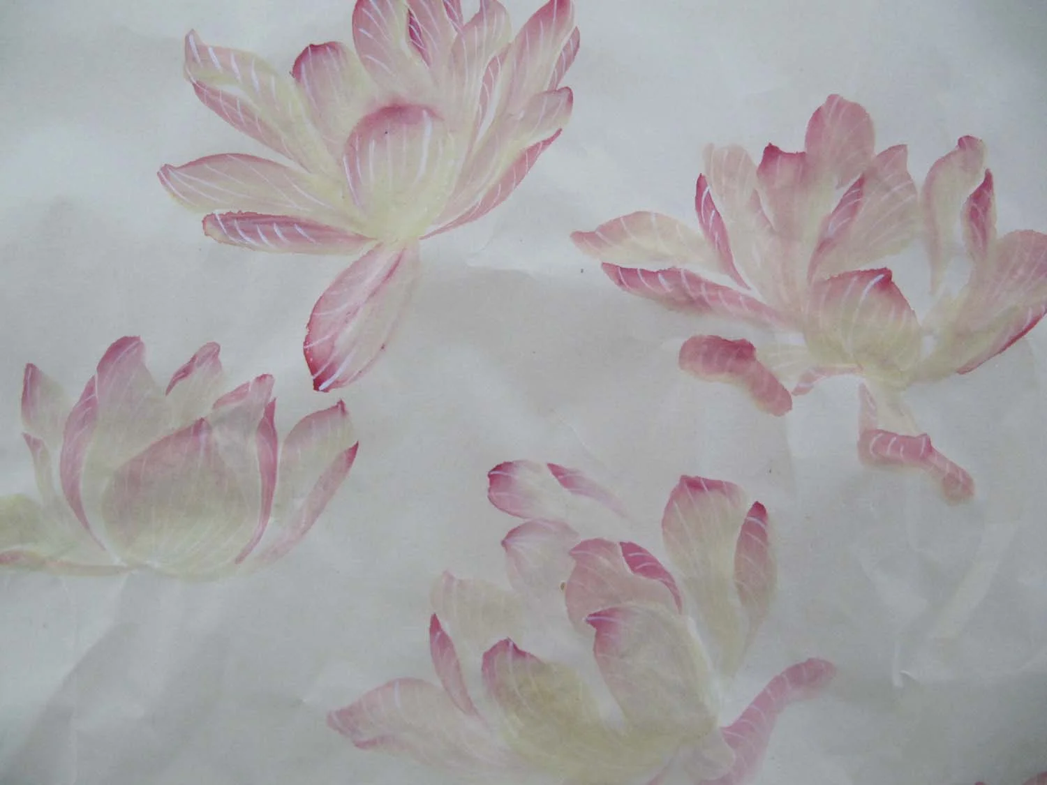 Lotus practice （detail）