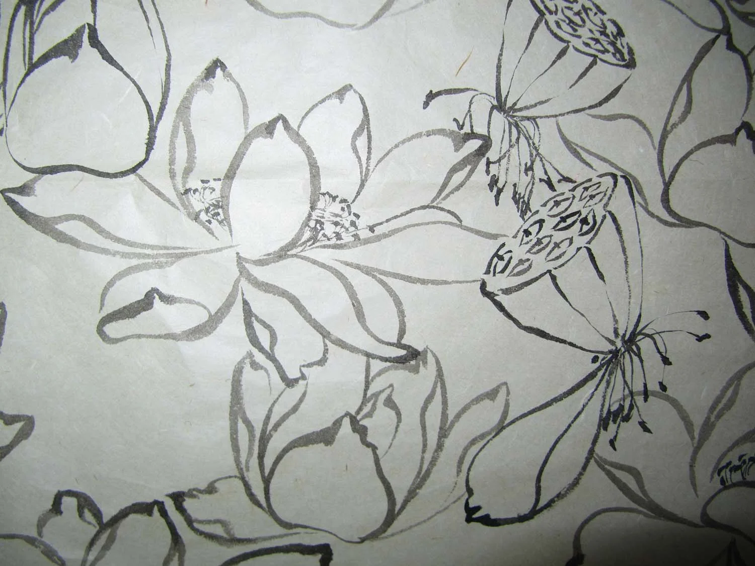 Lotus practice （detail）