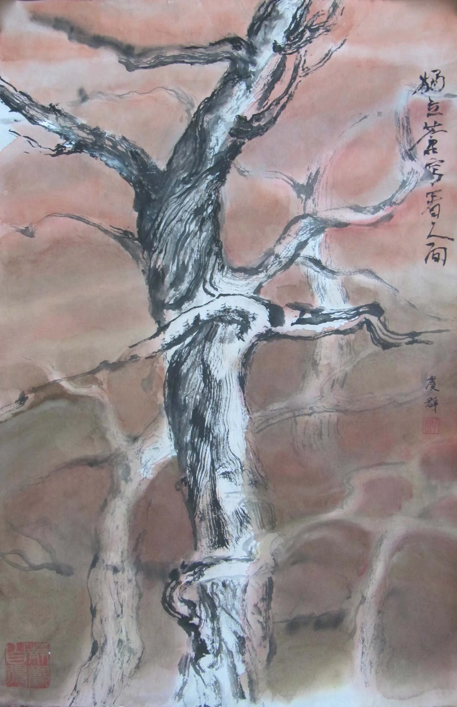 Lone Pine 獨立蒼松看人間