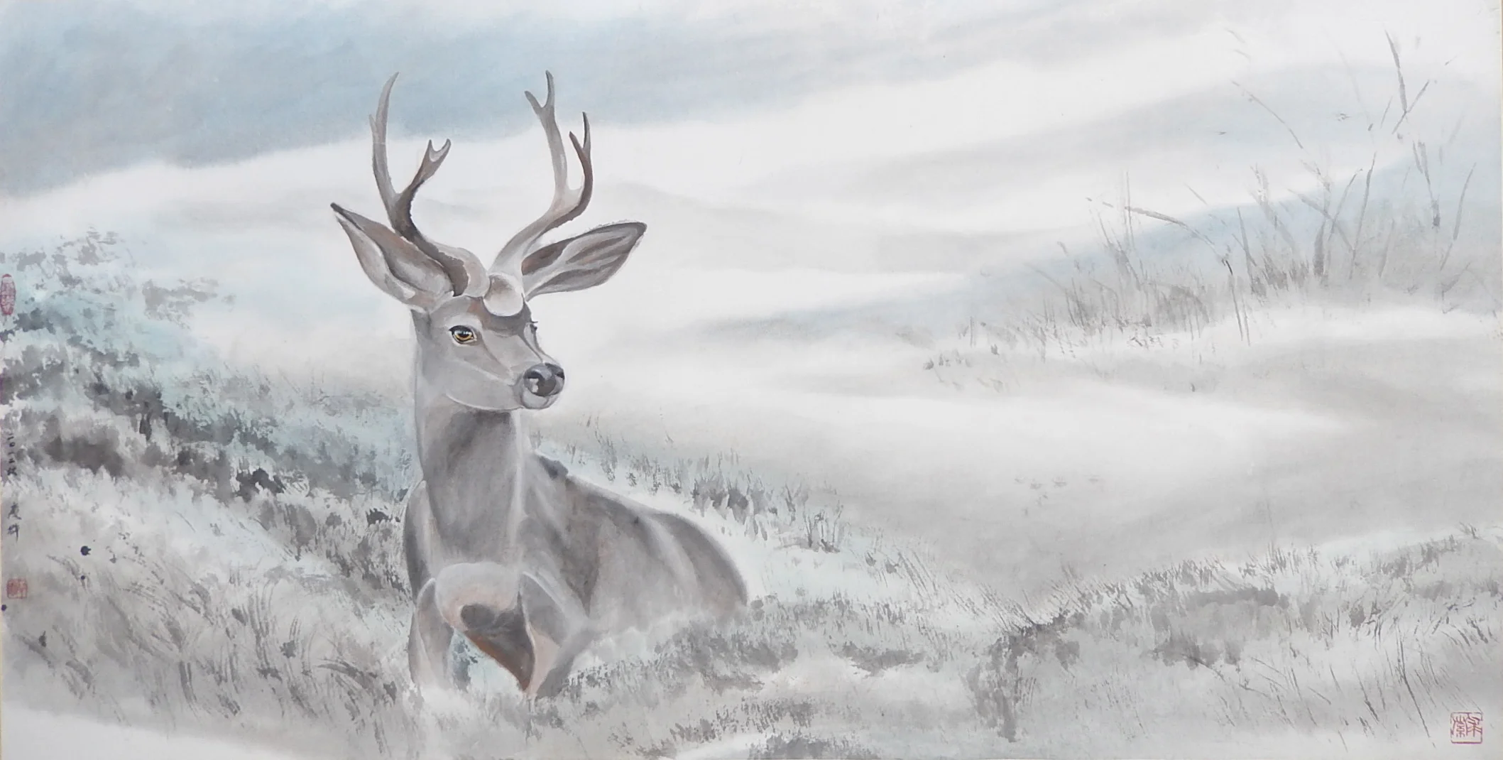 Wild Deer in Carmel 卡米爾的野鹿