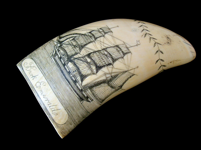 genuine_whale_tooth_scrimshaw_01.JPG