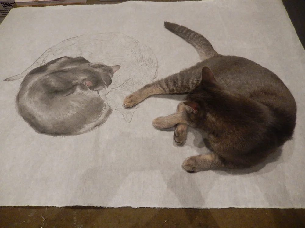   I was inspired to paint Dusty and Tiger in a yin-yang shape.  